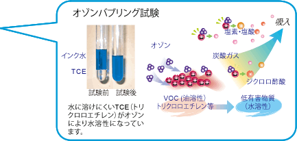 オゾンパブリング試験